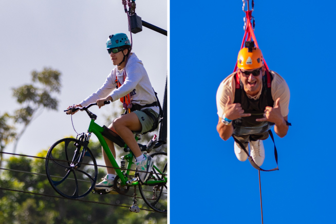 THE BEAST / TOROBIKES