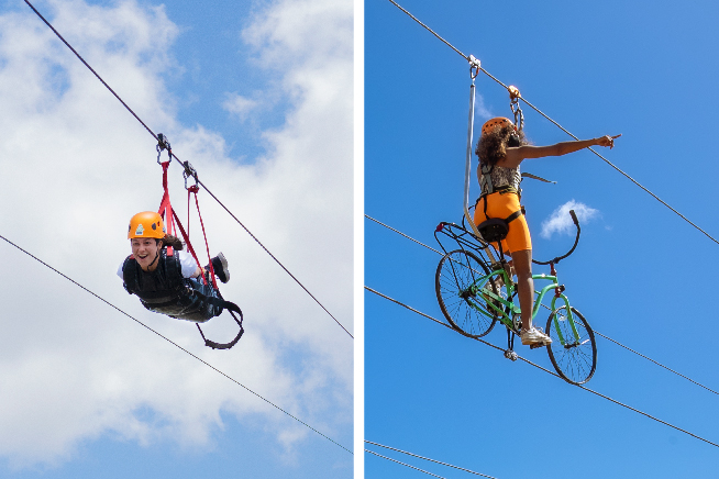 THE MONSTER / TOROBIKES