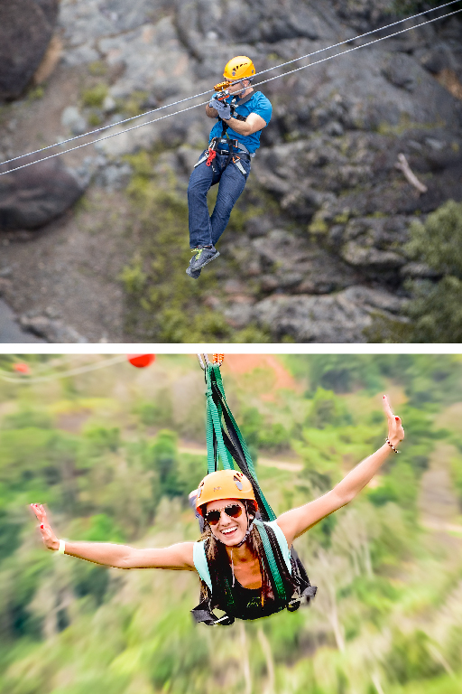 ZIPLINES / THE BEAST