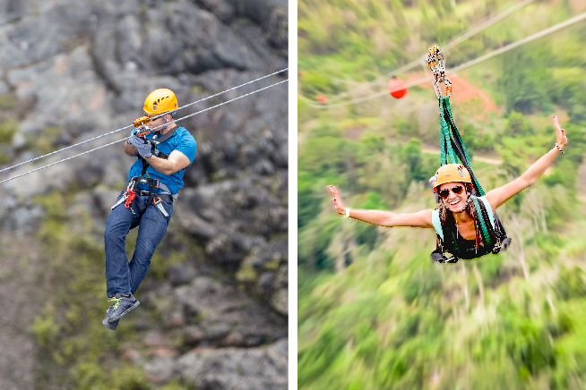 ZIPLINES / THE BEAST